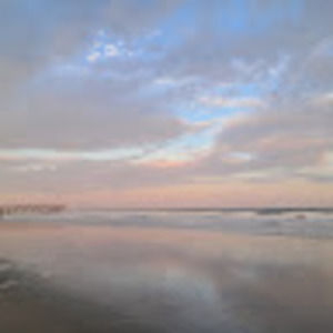 Meet your Posher, Marlene